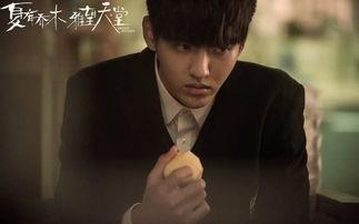 乔木爆料视频在线观看,揭秘幕后真相，带你走进事件核心  第1张