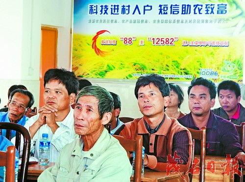 农民兄弟爆料视频播放下载,播放下载量惊人  第2张