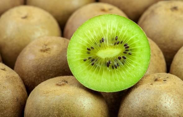 猕猴桃最新爆料视频大全,最新品种与种植技术大曝光  第1张